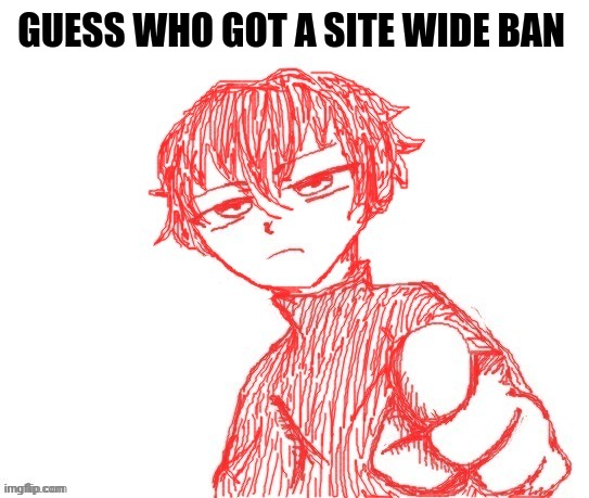 Guess who | GUESS WHO GOT A SITE WIDE BAN | image tagged in guess who | made w/ Imgflip meme maker
