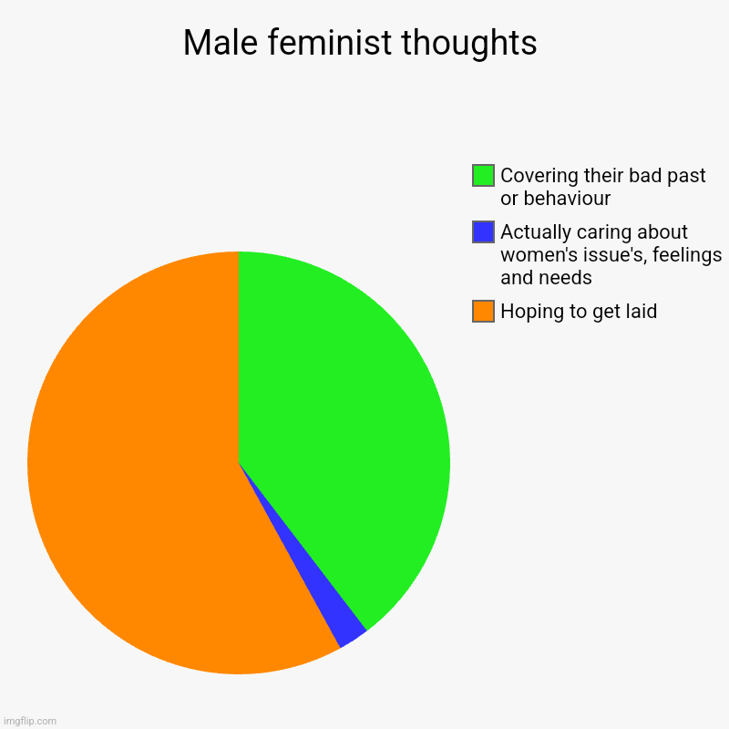 The truth about male feminists | Male feminist thoughts | Hoping to get laid, Actually caring about women's issue's, feelings and needs, Covering their bad past or behaviour | image tagged in charts,pie charts,feminism,feminist,truth hurts | made w/ Imgflip chart maker
