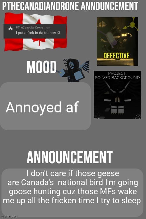 PTheCanadianDrone announcement | Annoyed af; I don't care if those geese are Canada's  national bird I'm going goose hunting cuz those MFs wake me up all the fricken time I try to sleep | image tagged in pthecanadiandrone announcement | made w/ Imgflip meme maker