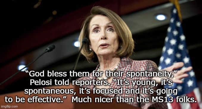 “God bless them for their spontaneity,” Pelosi told reporters. “It’s young, it’s spontaneous, it’s focused and it’s going to be effective.”  | made w/ Imgflip meme maker