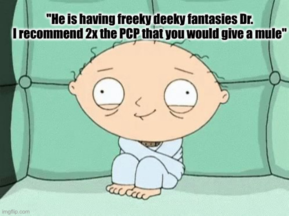 straitjacket stewie | "He is having freeky deeky fantasies Dr. I recommend 2x the PCP that you would give a mule" | image tagged in straitjacket stewie | made w/ Imgflip meme maker