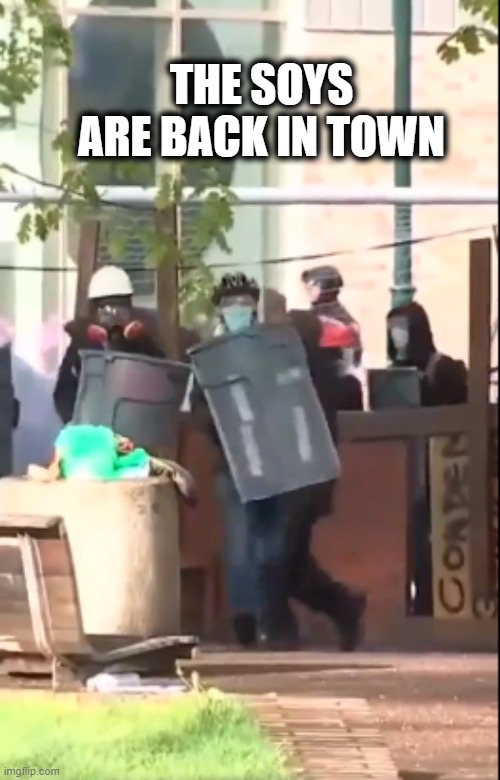 Soys | THE SOYS ARE BACK IN TOWN | image tagged in protesters,protest,soyboy vs yes chad,politics | made w/ Imgflip meme maker