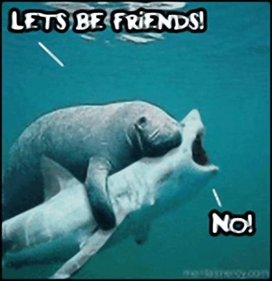 image tagged in funny