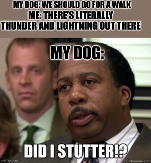 Did I stutter | MY DOG: WE SHOULD GO FOR A WALK; ME: THERE’S LITERALLY THUNDER AND LIGHTNING OUT THERE; MY DOG: | image tagged in did i stutter | made w/ Imgflip meme maker