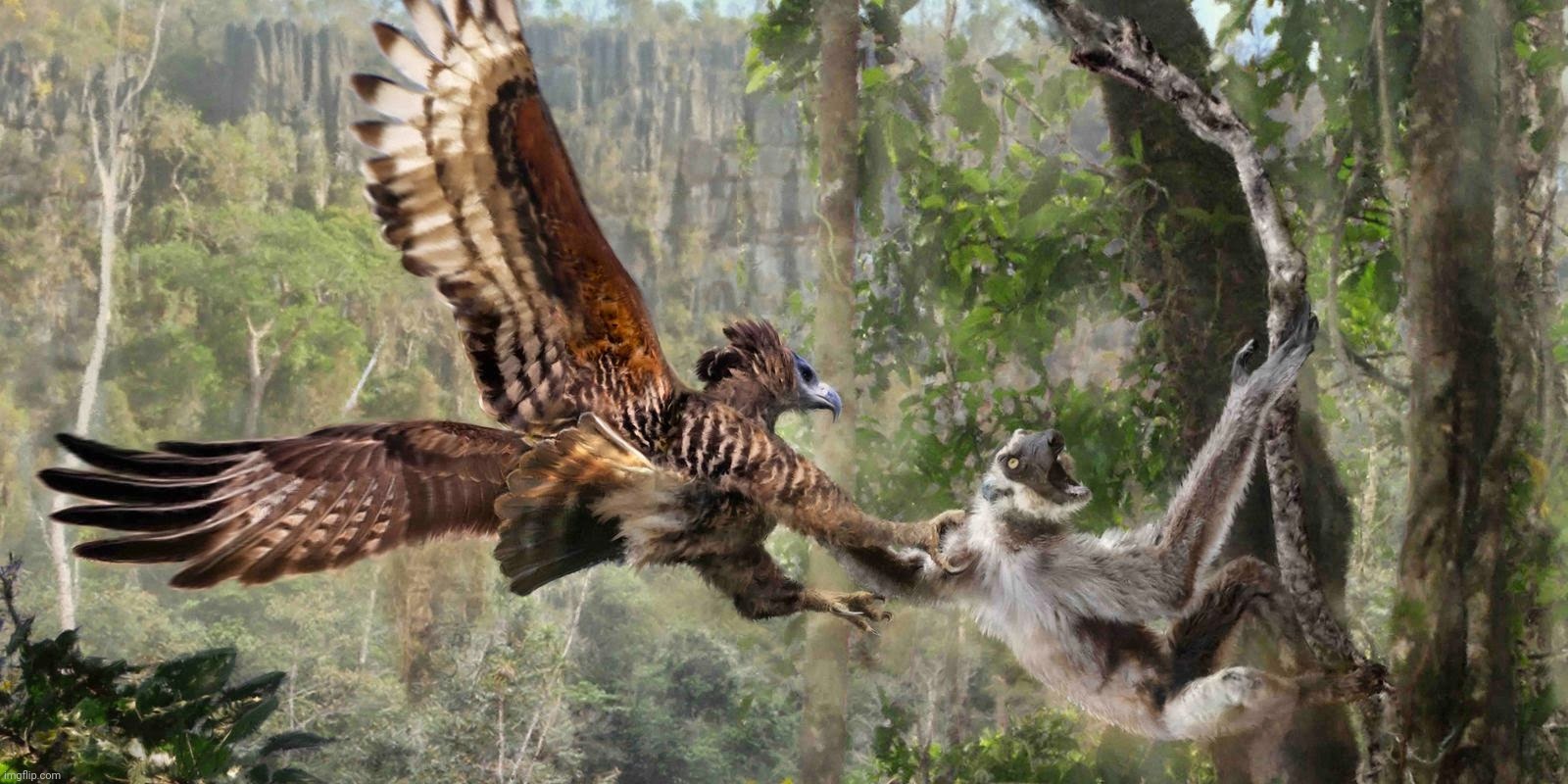 Malagasy crowned eagle (Stephanoaetus mahery) attacking a sloth lemur (palaeopropithecus spp) | image tagged in malagasy crowned eagle,stephanoaetus mahery,sloth lemur,palaeopropithecus spp | made w/ Imgflip meme maker