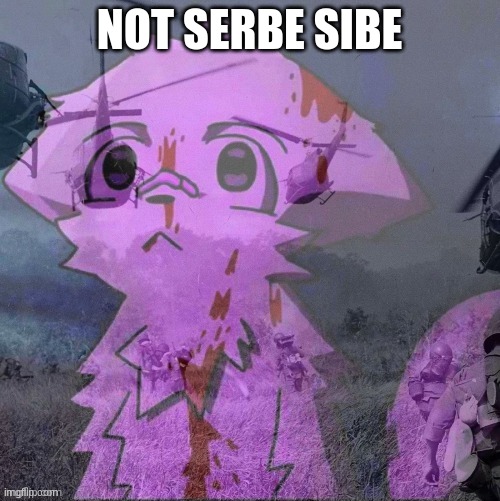 PTSD boykisser | NOT SERBE SIBE | image tagged in ptsd boykisser | made w/ Imgflip meme maker