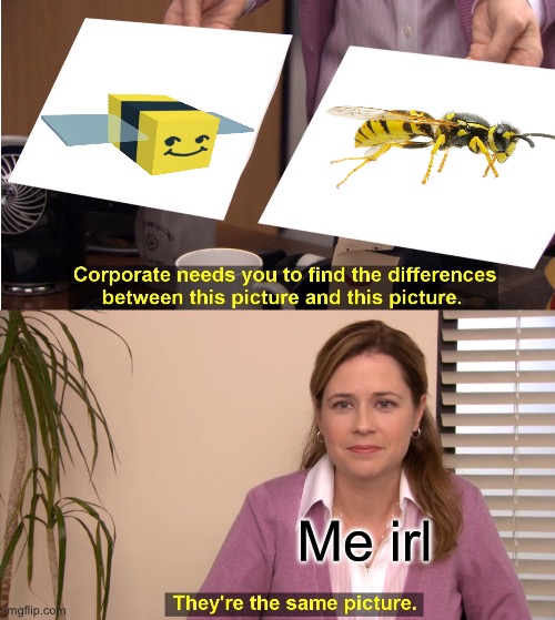 Bees and Wasps. | Me irl | image tagged in memes,they're the same picture | made w/ Imgflip meme maker