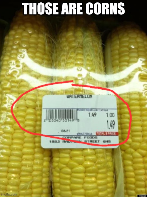 THOSE ARE CORNS | image tagged in corn,funny | made w/ Imgflip meme maker