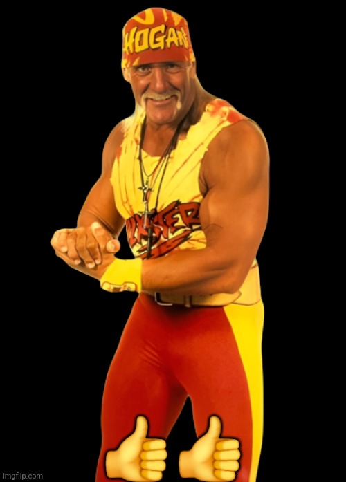 Hulk Hogan | 👍👍 | image tagged in memes,wcw,hulk hogan | made w/ Imgflip meme maker