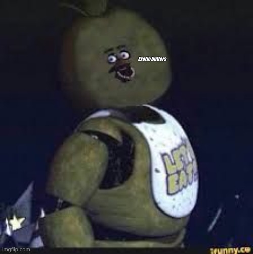 stupid chica | Exotic butters | image tagged in stupid chica | made w/ Imgflip meme maker