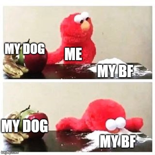 elmo cocaine | MY DOG; ME; MY BF; MY DOG; MY BF | image tagged in elmo cocaine | made w/ Imgflip meme maker