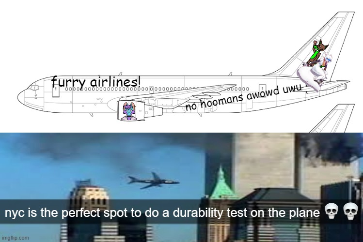plen | furry airlines! no hoomans awowd uwu; nyc is the perfect spot to do a durability test on the plane | image tagged in plen | made w/ Imgflip meme maker