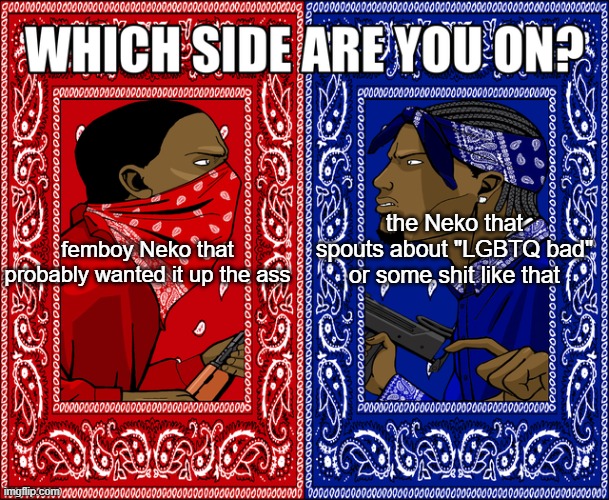 Nekos got two modes | femboy Neko that probably wanted it up the ass; the Neko that spouts about "LGBTQ bad" or some shit like that | image tagged in which side are you on | made w/ Imgflip meme maker