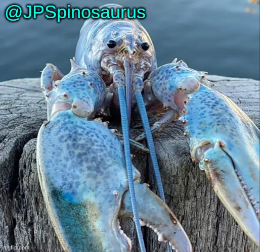 JPSpinosaurus's blue lobter announcement temp Blank Meme Template