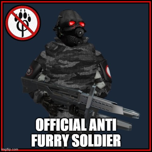 NEW SOLDIER | OFFICIAL ANTI FURRY SOLDIER | image tagged in anti furry,soldier | made w/ Imgflip meme maker