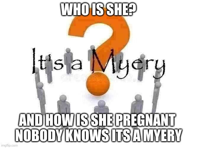It's a Myery | WHO IS SHE? AND HOW IS SHE PREGNANT 
NOBODY KNOWS ITS A MYERY | image tagged in it's a myery | made w/ Imgflip meme maker