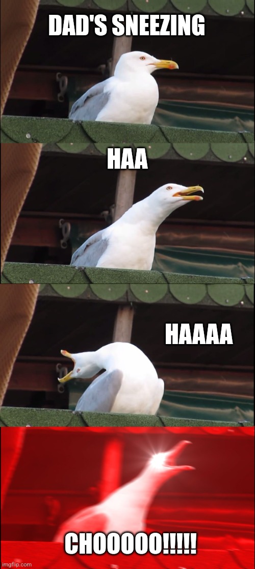 Inhaling Seagull | DAD'S SNEEZING; HAA; HAAAA; CHOOOOO!!!!! | image tagged in memes,inhaling seagull | made w/ Imgflip meme maker