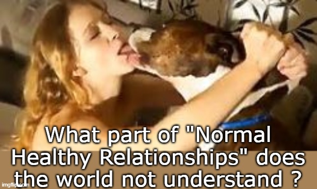 What part of "Normal Healthy Relationships" does the world not understand ? | made w/ Imgflip meme maker