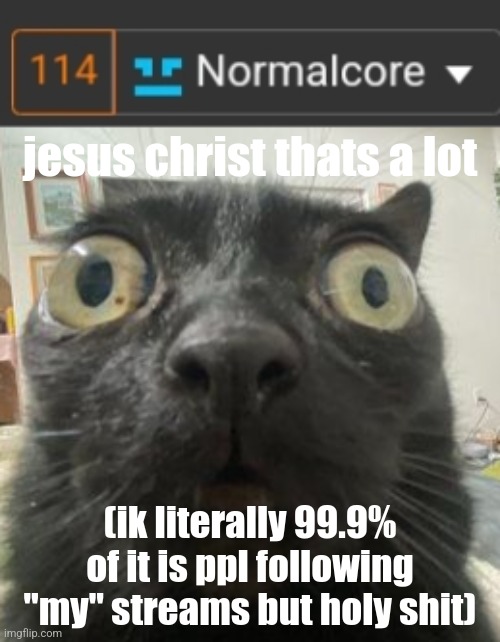 jesus christ thats a lot; (ik literally 99.9% of it is ppl following "my" streams but holy shit) | image tagged in jinx staring | made w/ Imgflip meme maker