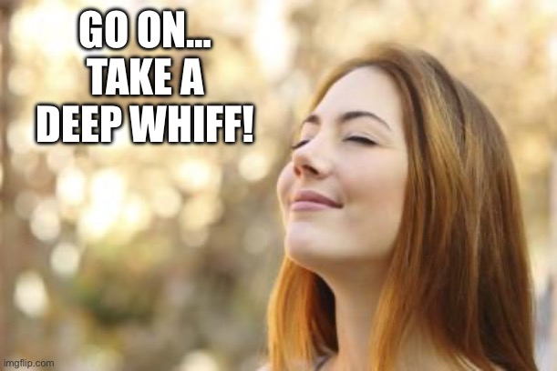 Deep Breath | GO ON…
TAKE A DEEP WHIFF! | image tagged in deep breath | made w/ Imgflip meme maker