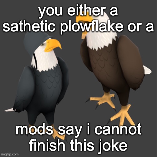 tf2 eagles | you either a sathetic plowflake or a; mods say i cannot finish this joke | image tagged in tf2 eagles | made w/ Imgflip meme maker