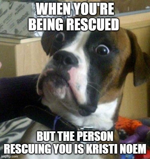 Scared Dog | WHEN YOU'RE BEING RESCUED; BUT THE PERSON RESCUING YOU IS KRISTI NOEM | image tagged in scared dog | made w/ Imgflip meme maker