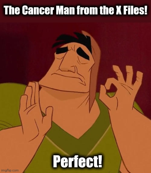 When X just right | The Cancer Man from the X Files! Perfect! | image tagged in when x just right | made w/ Imgflip meme maker