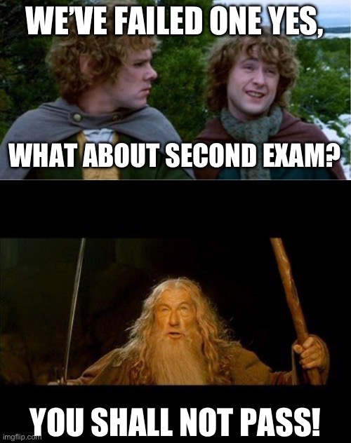 Fool of a Took | WE’VE FAILED ONE YES, WHAT ABOUT SECOND EXAM? YOU SHALL NOT PASS! | image tagged in merry and pippin,you shall not pass | made w/ Imgflip meme maker