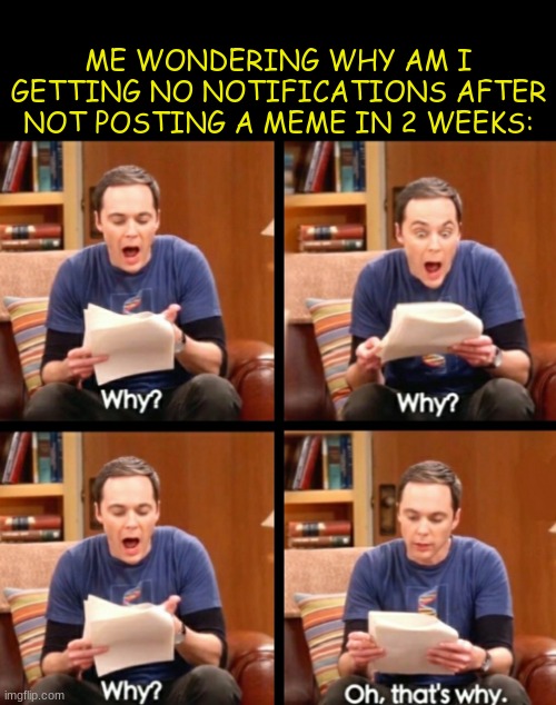 or anything at all. | ME WONDERING WHY AM I GETTING NO NOTIFICATIONS AFTER NOT POSTING A MEME IN 2 WEEKS: | image tagged in why why why oh that's why,inactive,no memes,no,memes,stop reading the tags | made w/ Imgflip meme maker