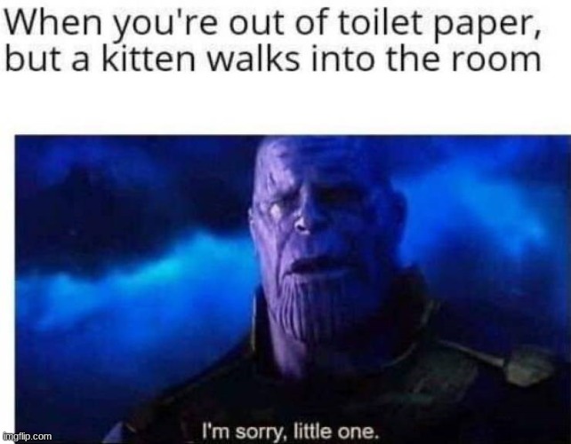image tagged in thanos i'm sorry little one | made w/ Imgflip meme maker