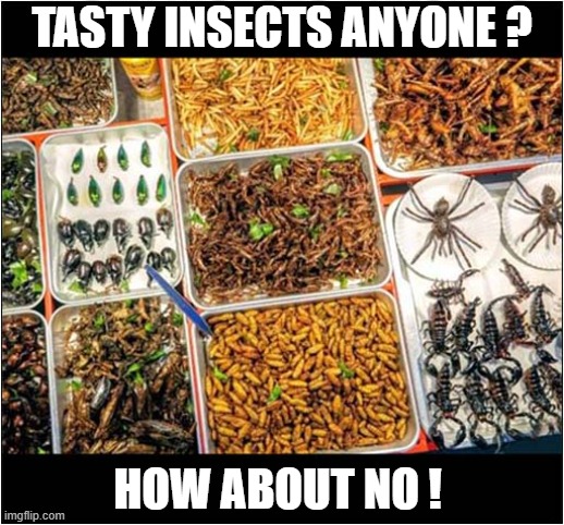 Fancy A Protein Snack ? | TASTY INSECTS ANYONE ? HOW ABOUT NO ! | image tagged in insects,snack,how about no | made w/ Imgflip meme maker