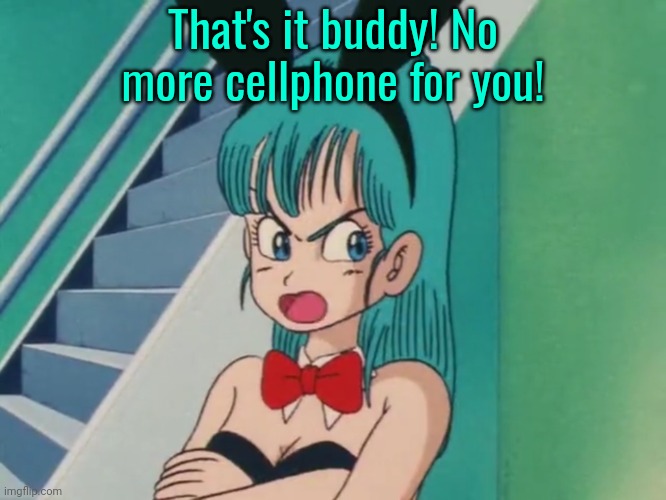 MSMG lore | That's it buddy! No more cellphone for you! | image tagged in angry bunny suit bulma template,dragon ball,bulma,stop staring at my,balls | made w/ Imgflip meme maker