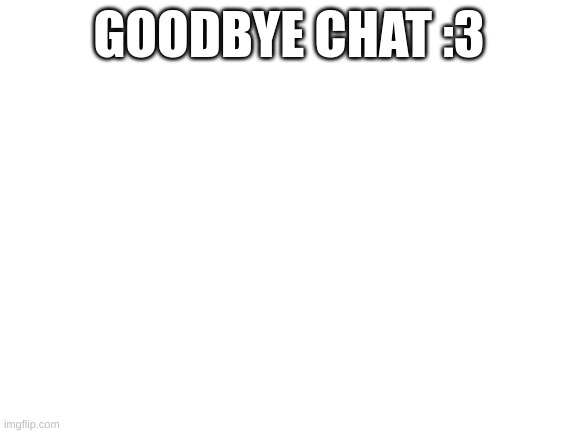 Blank White Template | GOODBYE CHAT :3 | image tagged in blank white template | made w/ Imgflip meme maker