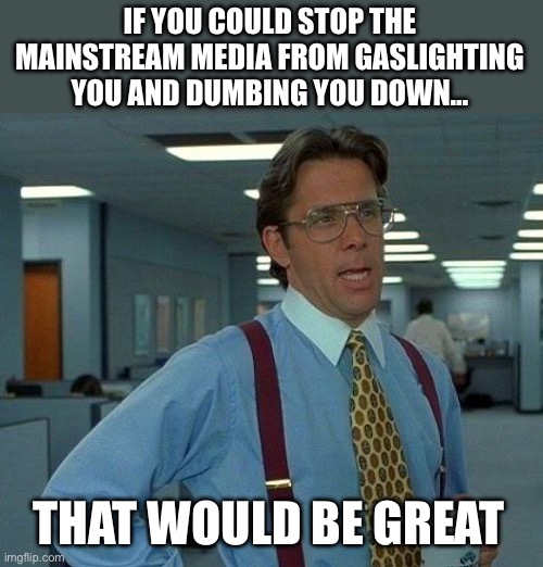 That Would Be Great | IF YOU COULD STOP THE MAINSTREAM MEDIA FROM GASLIGHTING YOU AND DUMBING YOU DOWN…; THAT WOULD BE GREAT | image tagged in memes,that would be great | made w/ Imgflip meme maker