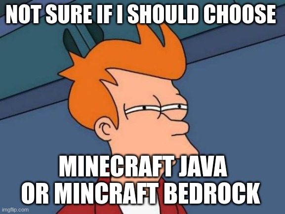 Futurama Fry | NOT SURE IF I SHOULD CHOOSE; MINECRAFT JAVA OR MINCRAFT BEDROCK | image tagged in memes,futurama fry | made w/ Imgflip meme maker