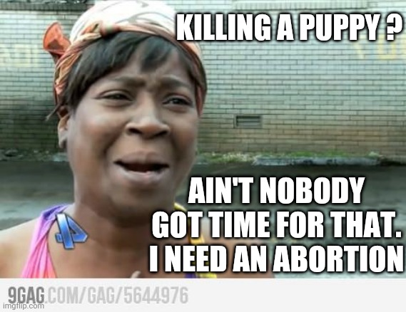 Sweet Brown | KILLING A PUPPY ? AIN'T NOBODY GOT TIME FOR THAT.
I NEED AN ABORTION | image tagged in sweet brown | made w/ Imgflip meme maker