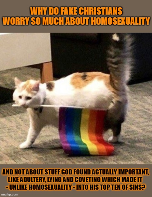 This #lolcat wonders if fake christians know what God thought of liars | WHY DO FAKE CHRISTIANS WORRY SO MUCH ABOUT HOMOSEXUALITY; AND NOT ABOUT STUFF GOD FOUND ACTUALLY IMPORTANT,
LIKE ADULTERY, LYING AND COVETING WHICH MADE IT 
- UNLIKE HOMOSEXUALITY - INTO HIS TOP TEN OF SINS? | image tagged in conservative hypocrisy,christian apologists,homophobia,lolcat | made w/ Imgflip meme maker