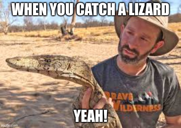 WHEN YOU CATCH A LIZARD; YEAH! | image tagged in pov | made w/ Imgflip meme maker