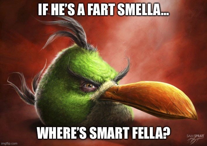 Realistic Angry Bird | IF HE’S A FART SMELLA… WHERE’S SMART FELLA? | image tagged in realistic angry bird | made w/ Imgflip meme maker