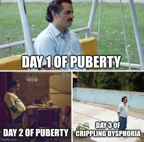 Sad Pablo Escobar | DAY 1 OF PUBERTY; DAY 2 OF PUBERTY; DAY 3 OF CRIPPLING DYSPHORIA | image tagged in memes,sad pablo escobar | made w/ Imgflip meme maker