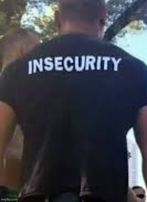 insecurity | image tagged in why are you reading the tags,stop reading the tags | made w/ Imgflip meme maker