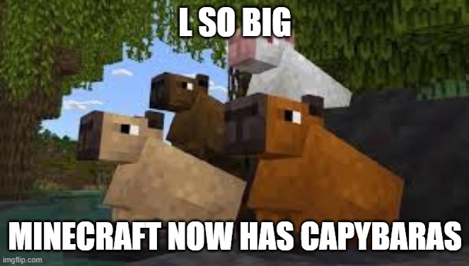 L SO BIG MINECRAFT NOW HAS CAPYBARAS | made w/ Imgflip meme maker