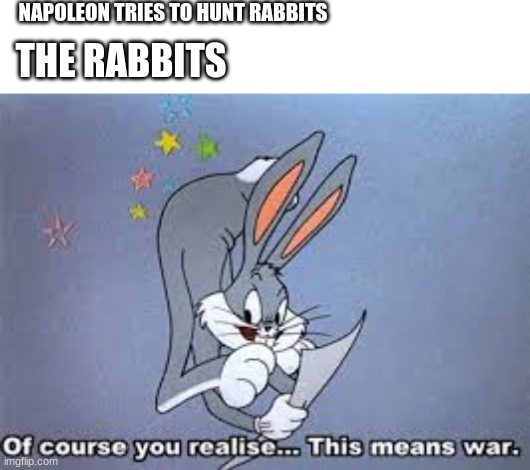 NAPOLEON TRIES TO HUNT RABBITS; THE RABBITS | image tagged in bugs bunny,history memes | made w/ Imgflip meme maker