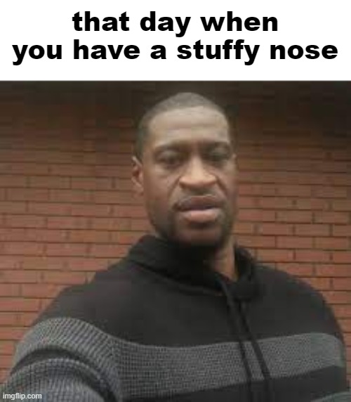 that day when you have a stuffy nose | made w/ Imgflip meme maker