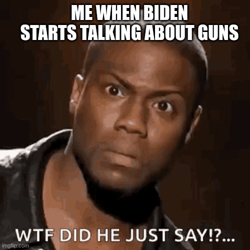 What did you say | ME WHEN BIDEN STARTS TALKING ABOUT GUNS | image tagged in what did you just say | made w/ Imgflip meme maker
