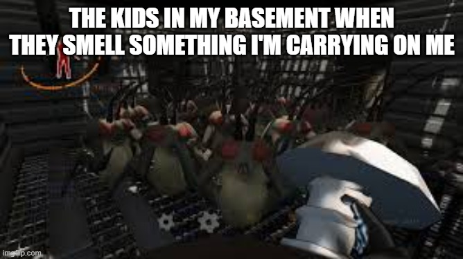 they smell scrap | THE KIDS IN MY BASEMENT WHEN THEY SMELL SOMETHING I'M CARRYING ON ME | image tagged in we smell scrapies,memes,kids in my basement | made w/ Imgflip meme maker