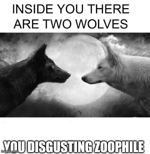 Inside you there are two wolves | YOU DISGUSTING ZOOPHILE | image tagged in inside you there are two wolves | made w/ Imgflip meme maker