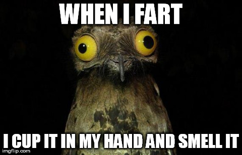 Weird Stuff I Do Potoo Meme | WHEN I FART I CUP IT IN MY HAND AND SMELL IT | image tagged in memes,weird stuff i do potoo,AdviceAnimals | made w/ Imgflip meme maker