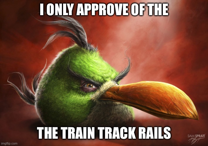 Realistic Angry Bird | I ONLY APPROVE OF THE THE TRAIN TRACK RAILS | image tagged in realistic angry bird | made w/ Imgflip meme maker