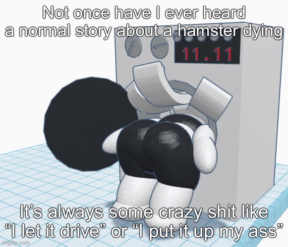 Not once have I ever heard a normal story about a hamster dying; It’s always some crazy shit like “I let it drive” or “I put it up my ass” | made w/ Imgflip meme maker
